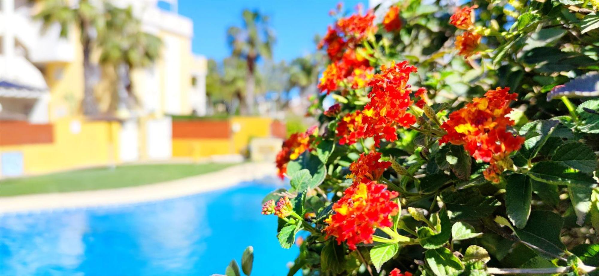 Apartamento Playa Sol By Denia Costa المظهر الخارجي الصورة