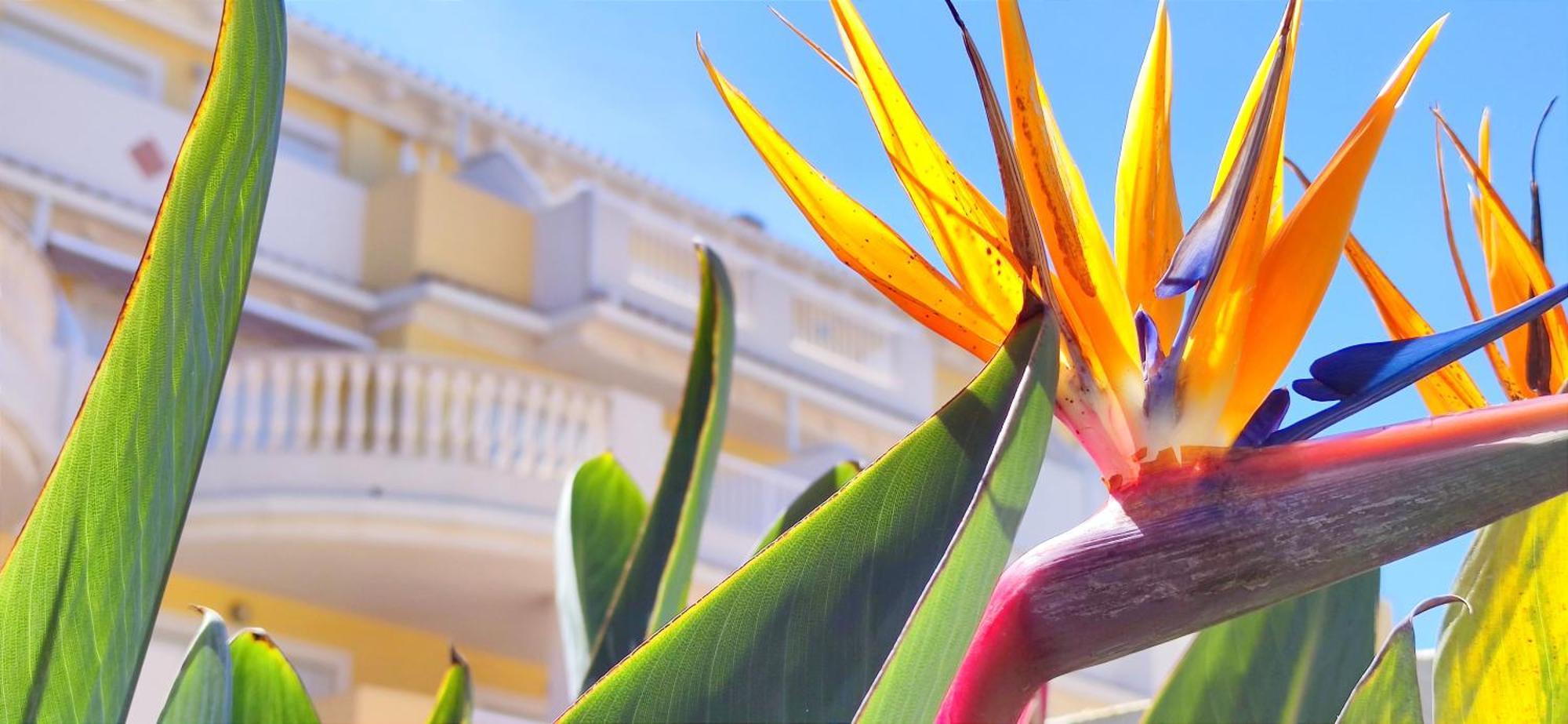 Apartamento Playa Sol By Denia Costa المظهر الخارجي الصورة